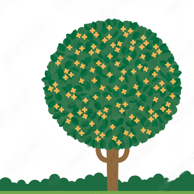 バウムテスト検査イメージ