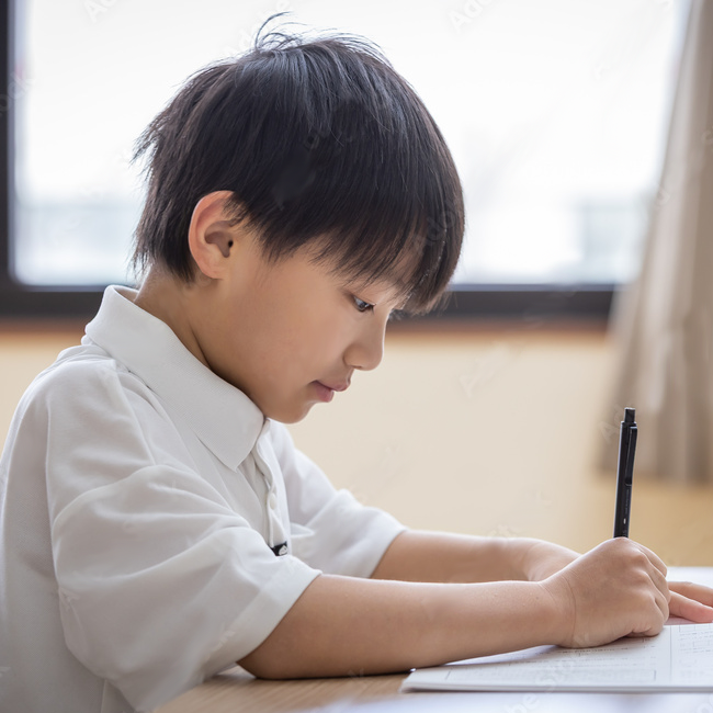 WISC-Ⅴ検査イメージ