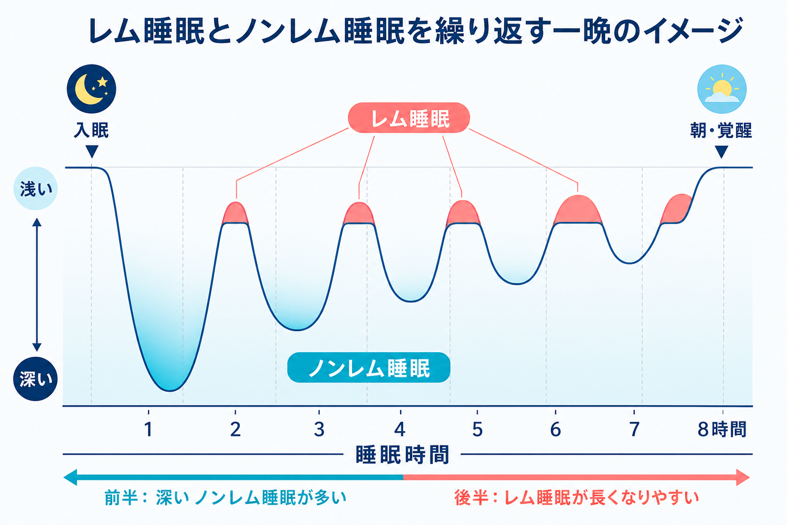 一晩の睡眠深度と、ノンレム睡眠・レム睡眠の周期を示す図